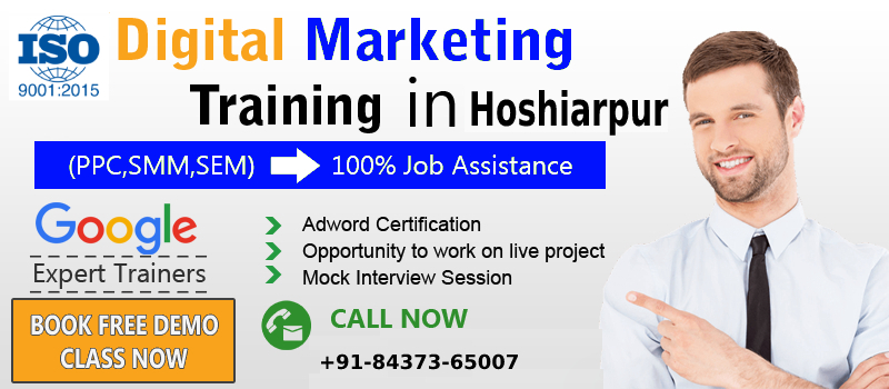 Digital Marketing Training in Hoshiarpur