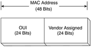 Difference Between MAC and IP Addresses