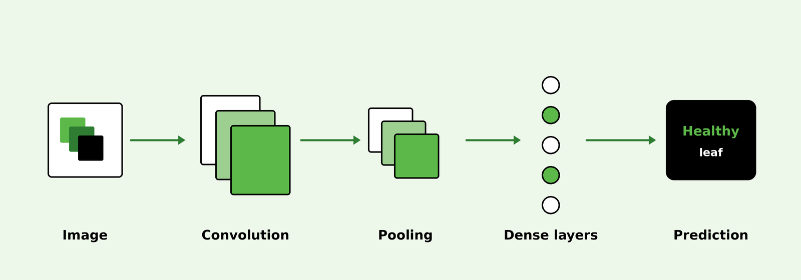 Computer vision pipeline from image to convolution, pooling and prediction